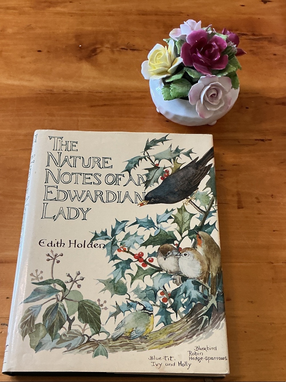 1905 The Nature Notes of an Edwardian Lady by Edith Holden Illustrated Hardcover